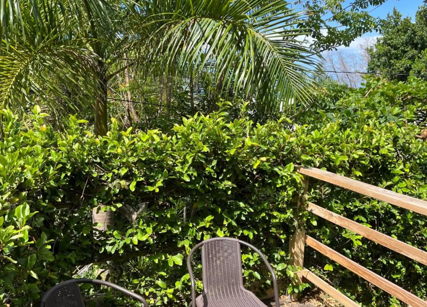 Serenity Rincon Guesthouse 4*,  Puerto Rico